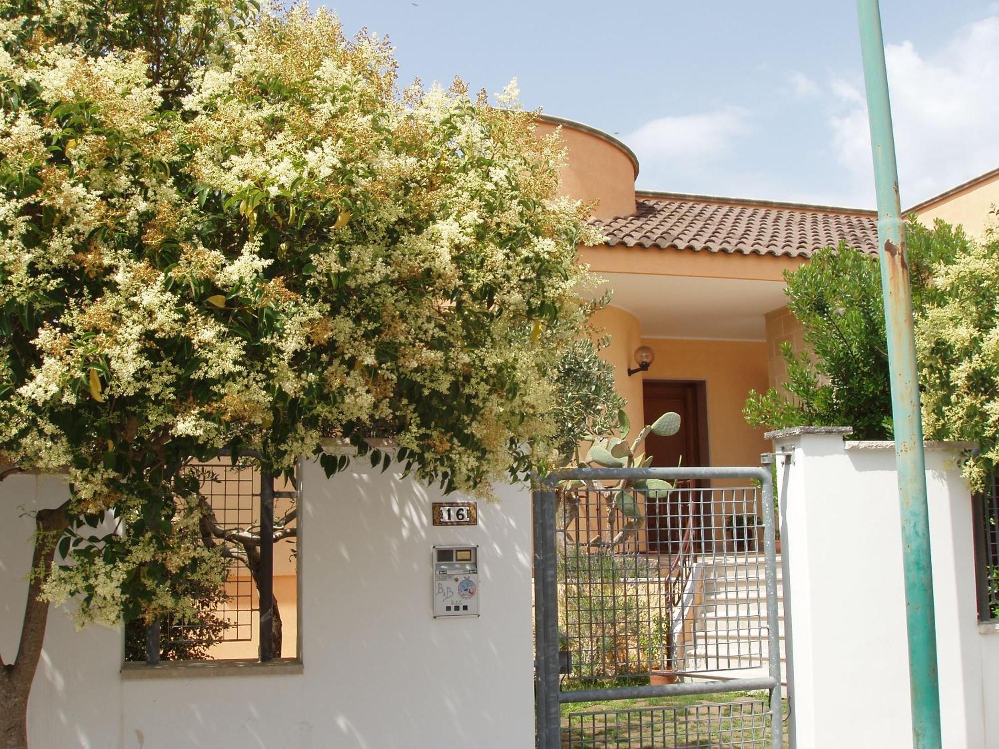 Residenza Del Sole Bed & Breakfast Surbo Екстериор снимка