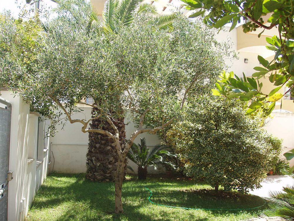 Residenza Del Sole Bed & Breakfast Surbo Екстериор снимка
